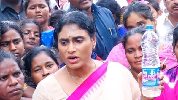 PCC Chief Sharmila letter to central demands CBI probe over Tirumala laddu row PCC Chief Sharmila letter to central demands CBI probe over Tirumala laddu row