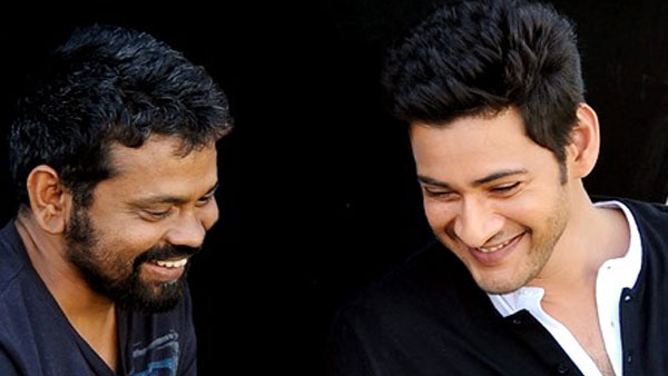 super star maheshbabu comments on director sukumar