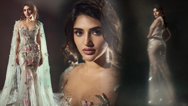 sreeleela beautiful saree photos goes viral