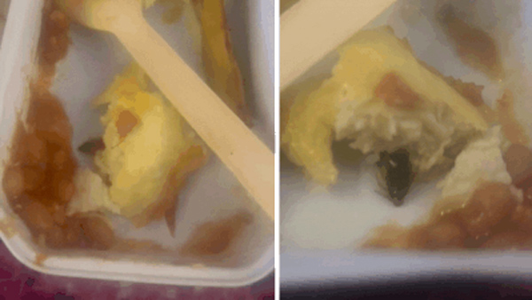 Cockroach in the omelette served in the Air India flight Passenger s complaint