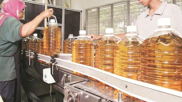 Tax hike on palm oil import to benefit Telangana farmers