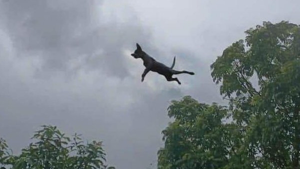 Typhoon Yagi Asia s strongest storm Hits Vietnam after wreaking havoc in China Typhoon Yagi Asia s strongest storm Hits Vietnam after wreaking havoc in China