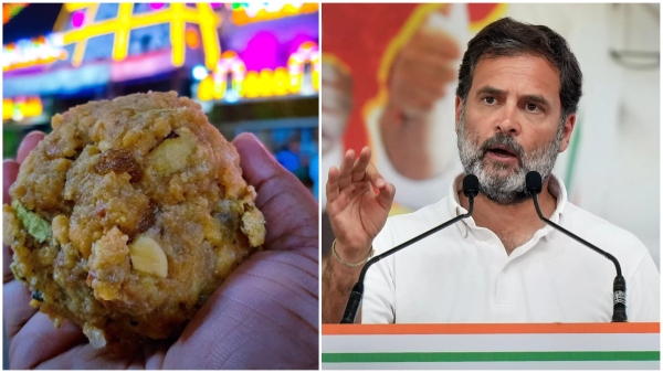 Rahul Gandhi response on Tirupati laddu adulteration issue