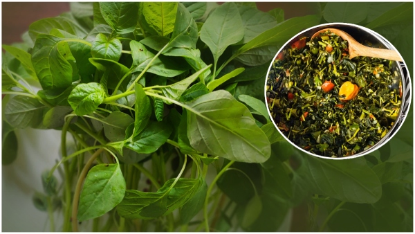 Are you Eating Thotakura know the health benefits of thotakura