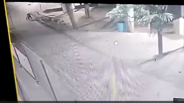 Leopard chased dogs in Tirumala was captured on CCTV