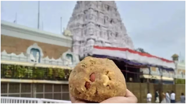 Nara Lokesh said that Jagan should be ready for the punishment imposed by Tirumala Srivenkateswara Swami
