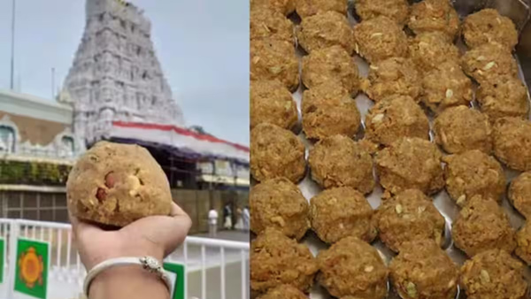 14 Lakh Tirupati laddus Sold In 4 Days after animal fat controversy 14 Lakh Tirupati laddus Sold In 4 Days after animal fat controversy