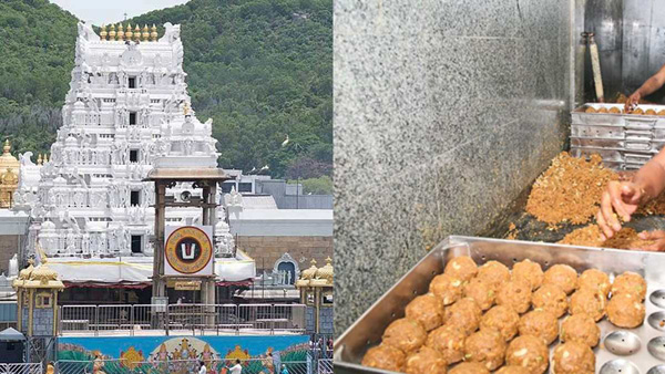 Tirupati Laddu row Pawan Kalyan to visit Tirumala on October 2
