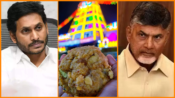 Jagan gave a check to the ruling party on the Tirumala laddu dispute