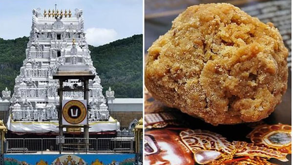 ap government first action in Tirumala laddu row as cases filed against ghee supplier ar foods