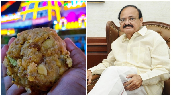 Former Vice President M Venkaiah Naidu reacted to the news of Tirumala Laddu Prasada