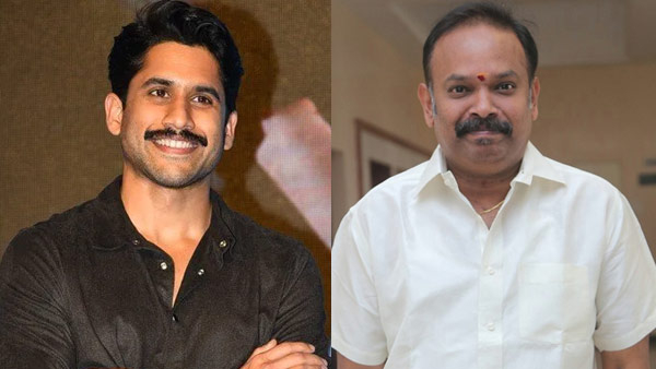 movie flopped because of Naga Chaitanya The director s shocking comments