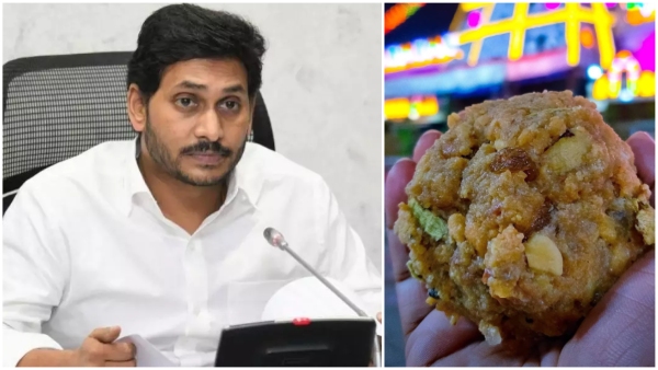 ys jagan lashed out at Chandrababu for diversion politics with Tirumala laddu row key remarks