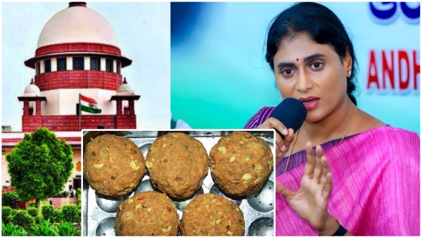 Supreme court comments on Tirumala Laddu are a slap to the central and state governments YS Sharmila