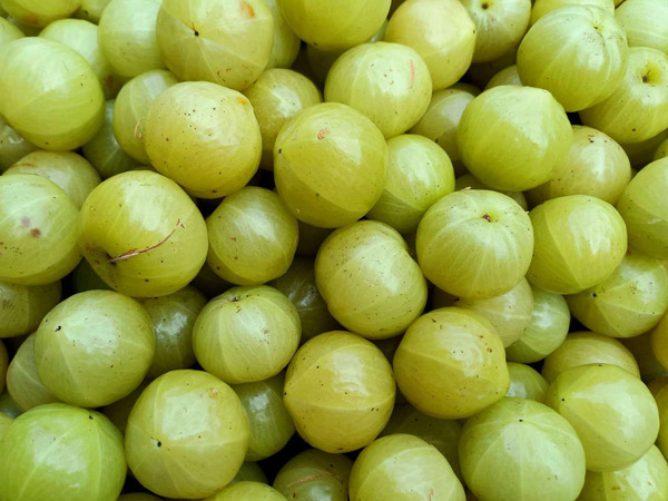 Amazing health benefits of eating amla every day Amazing health benefits of eating amla every day