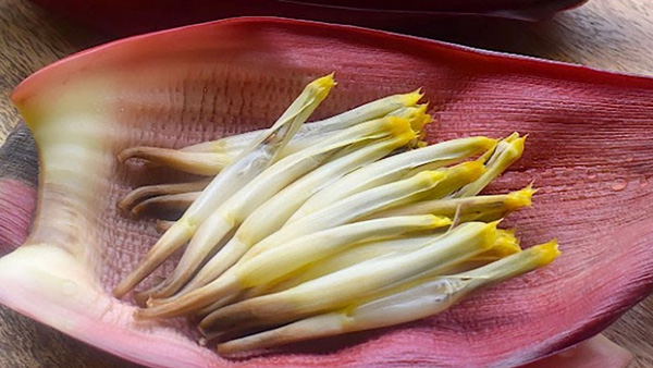 these four types of flowers reduce sugar
