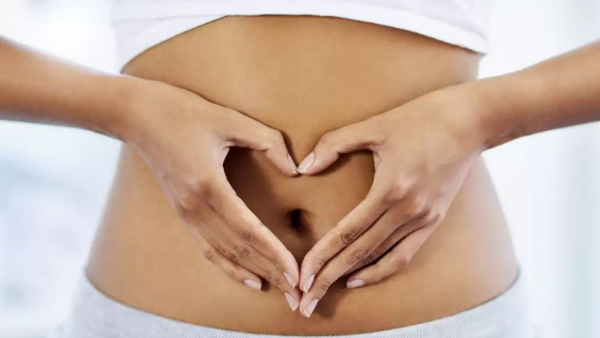Do you know what the belly does in our body