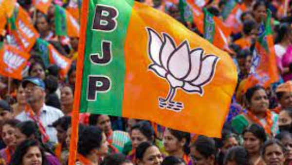 bjp special focus on jharkhand assembly elections