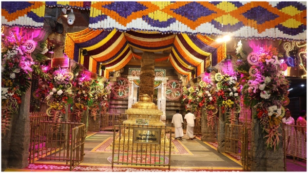 Apashruti took place during the Brahmotsavam of Srivari Salakatla in Tirumala