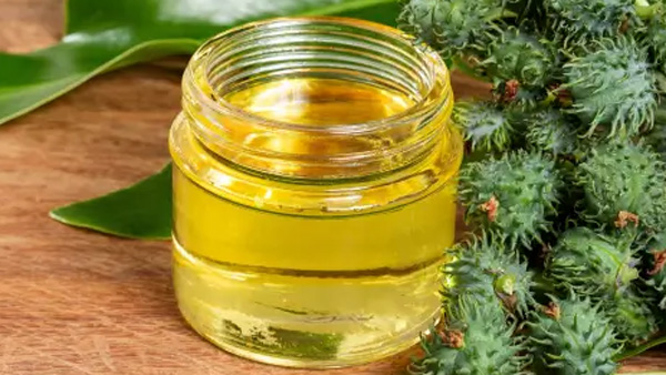 Castor oil for beauty and health If you know the real benefits you won t miss it at all