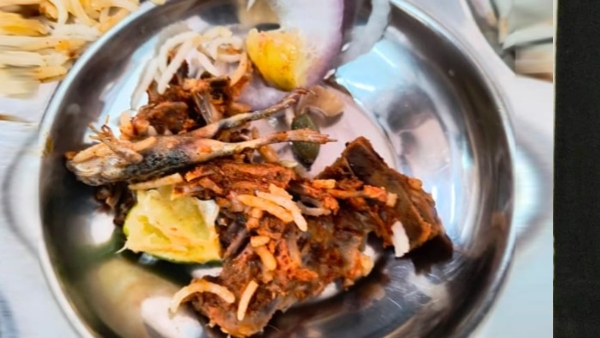 Gachibowli IIT stir Chicken biryani with frog carcass