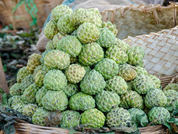 Boost Your Immunity and Heart Health with Custard Apple