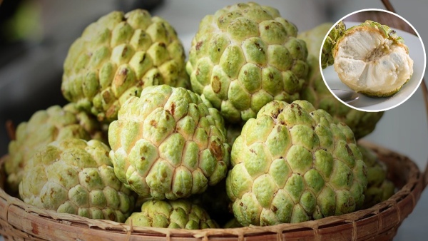 Can Diabetics Eat Custard Apple What Happens If They Do