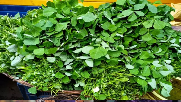 Eat fenugreek leaves at least once a week see the change in health