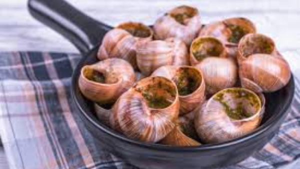 Benefits of eating snails