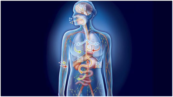 Do you know how dangerous magnesium deficiency is in the body Do you know how dangerous magnesium deficiency is in the body