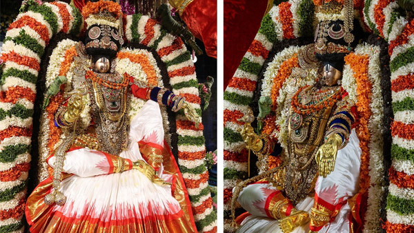Sri Malayappa appeared as Mohini to charm His devotees on tuesday