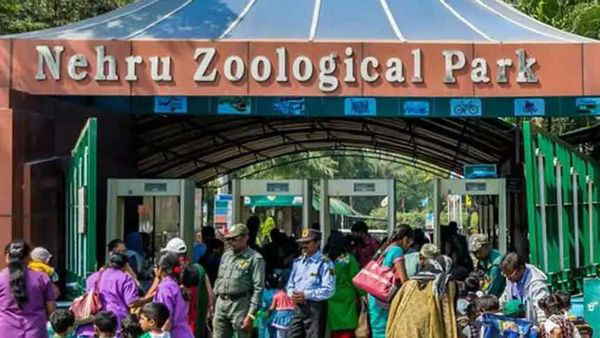 Nehru Zoological Park is said to have got the third rank in the country