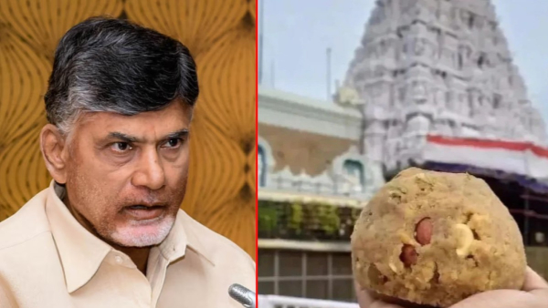 trending on social media that Chandrababu should apologize to Hindus