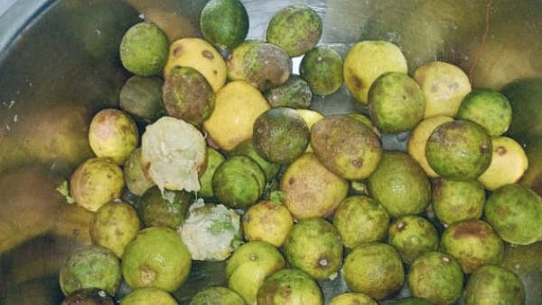 Food safety officials have inspected many restaurants in Hyderabad