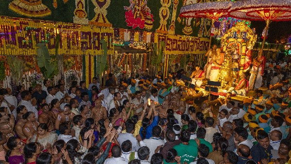 Hamsa Vahana Seva on the second day of Srivari Salakatla Brahmotsavali in Tirumala Hamsa Vahana Seva on the second day of Srivari Salakatla Brahmotsavali in Tirumala