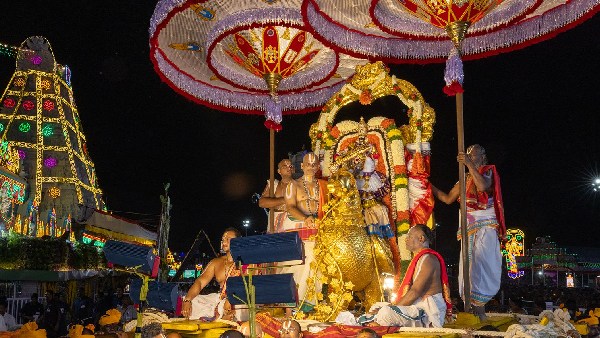 Hamsa Vahana Seva on the second day of Srivari Salakatla Brahmotsavali in Tirumala Hamsa Vahana Seva on the second day of Srivari Salakatla Brahmotsavali in Tirumala