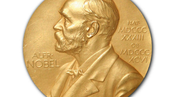 Nobel Prize 2024 in Medicine awarded to Victor Ambros and Gary Ruvkun