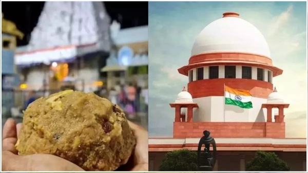 Tirumala Laddu case will be taken up for hearing in supreme court today Tirumala Laddu case will be taken up for hearing in supreme court today