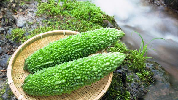 How Bitter Gourd Can Help Manage Blood Sugar Levels