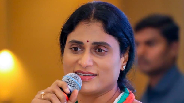 YS Sharmila targets Chandrababu over ap liquor shops draw process and slams liquor syndicates in tdp YS Sharmila targets Chandrababu over ap liquor shops draw process and slams liquor syndicates in tdp