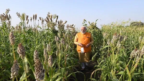 Centre notifies MSP for 6 crops in Rabi season including Wheat Gram and Barley