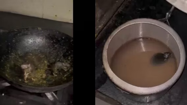 IIT Roorkee students serious over rats seen in hostel food Video going viral