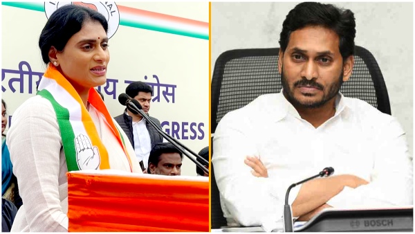 Leaders of the ruling party say that Sharmila is angry with former CM Jagan