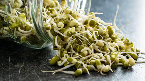 Double Your Energy with Sprouts for Breakfast