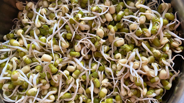 Double Your Energy with Sprouts for Breakfast