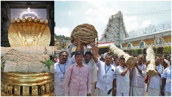 Darbha mat and rope procession of Srivari Brahmotsavam in Tirumala