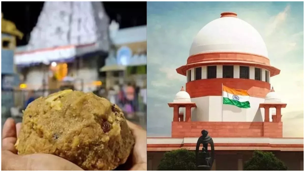 sc postponed hearing on Tirumala laddu petitions tomorrow
