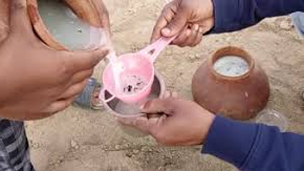 Is Palm Wine or Date Palm Wine Better for Your Health Is Palm Wine or Date Palm Wine Better for Your Health