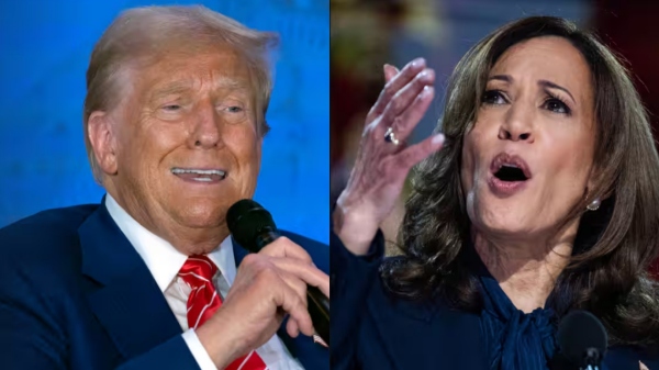 Indian Americans becomes crucial in upcoming US President Elections