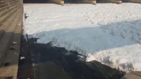 Viral Video Water Pollution C O Delhi Look at the foaming Yamuna River